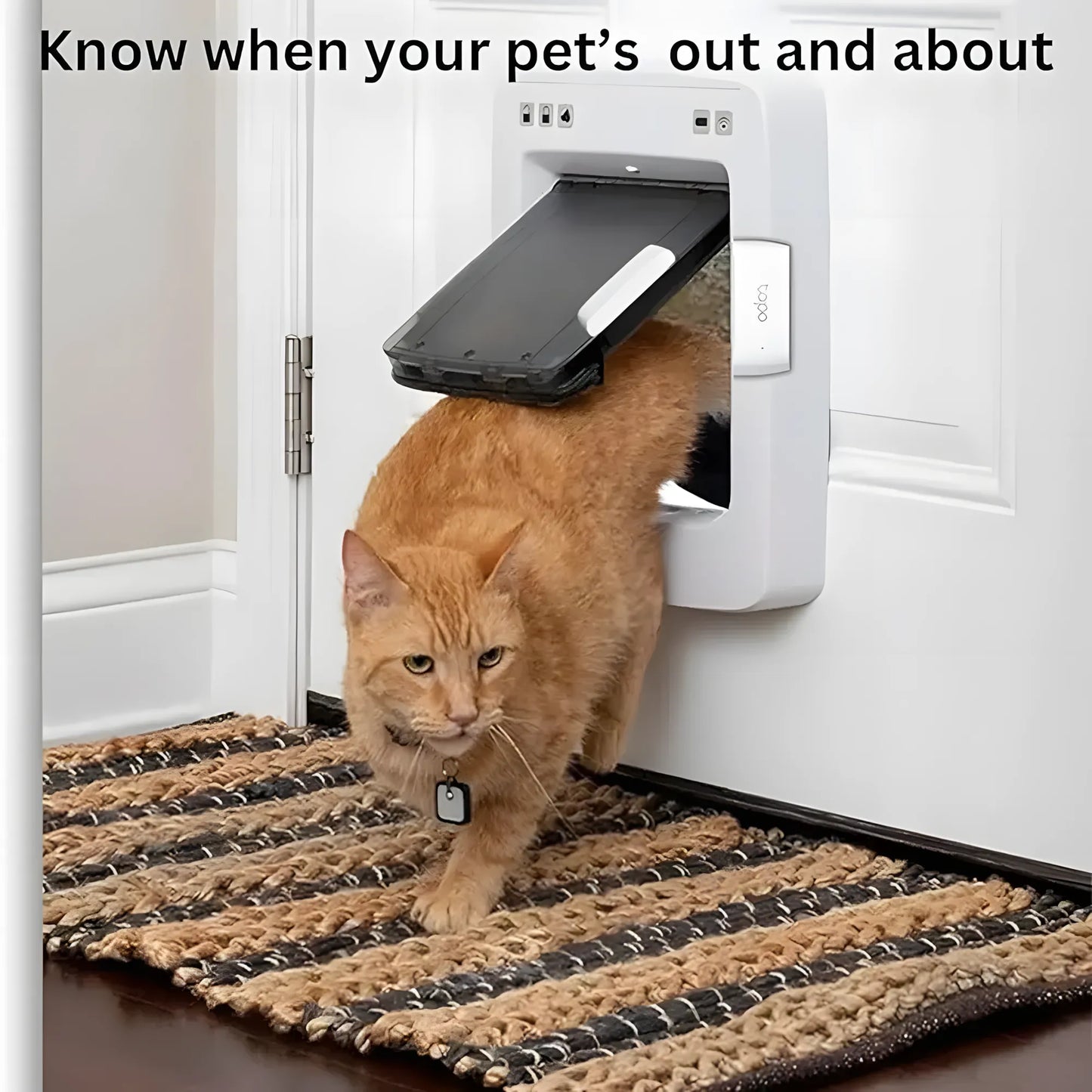 TP-Link Tapo T110 Smart Contact Sensor | Door/Window Monitor | Instant App Alerts | 2-Year Battery | TechFndrs