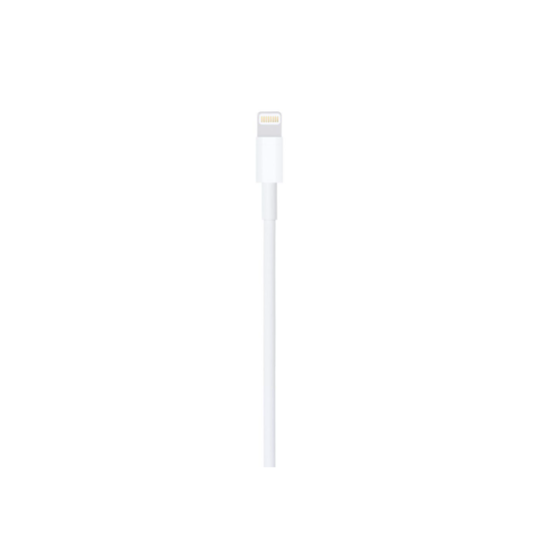 Lightning to USB Cable (1m)